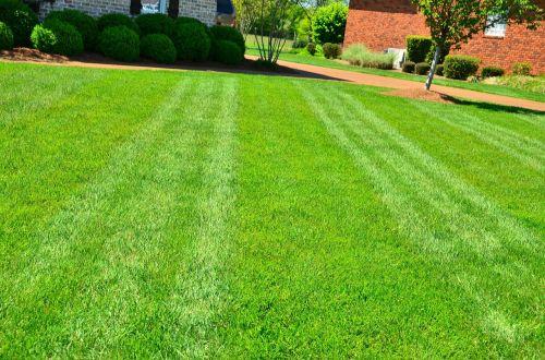 D & E Landscaping LLC