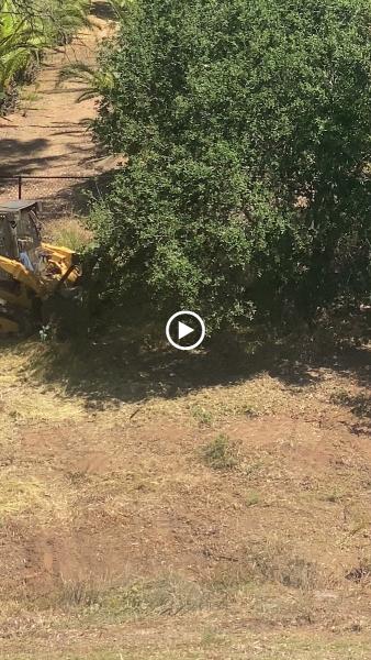 Brush Cutters and Mo'er