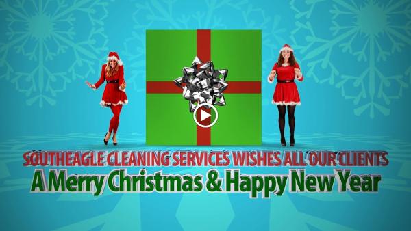 Southeagle Cleaning Services LLC