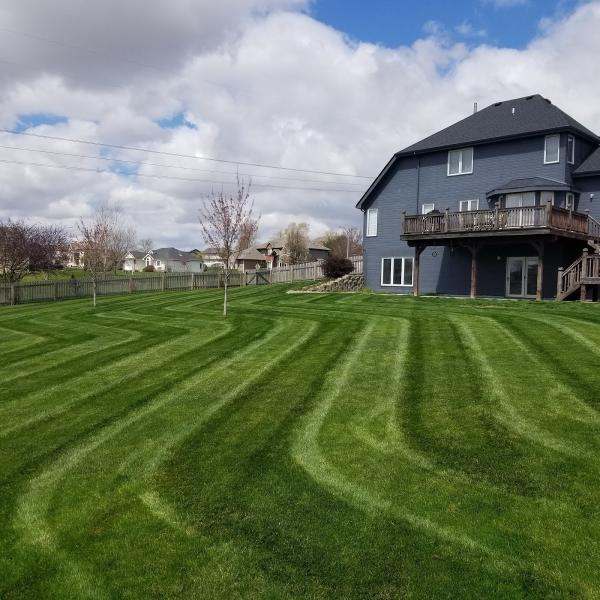 BAM Lawns