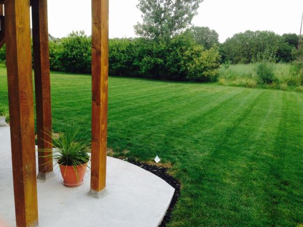 BAM Lawns