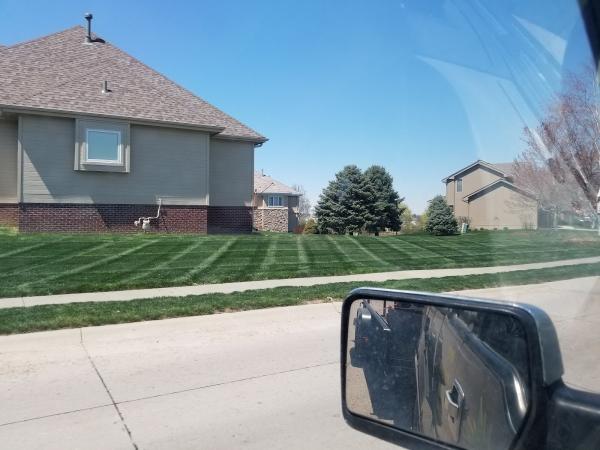 BAM Lawns