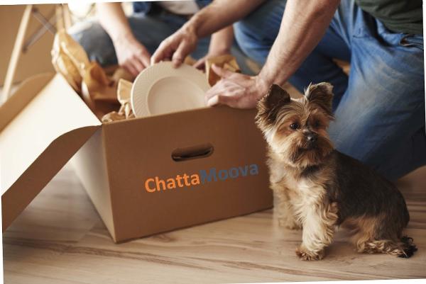 Chattamoova