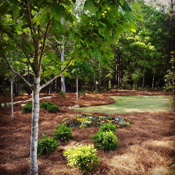 Restoration Lawn Care