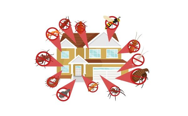 Western Carolina Pest Management