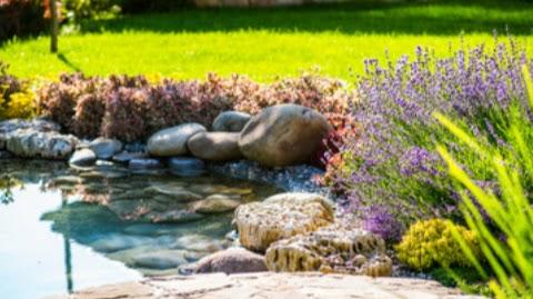 Organic Landscape Services