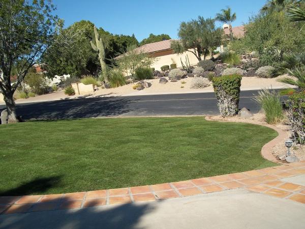 Organic Landscape Services