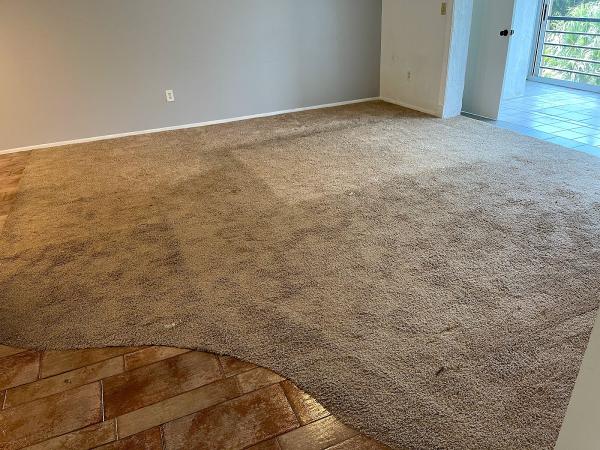 Amerahouse Carpet & Tile Cleaning