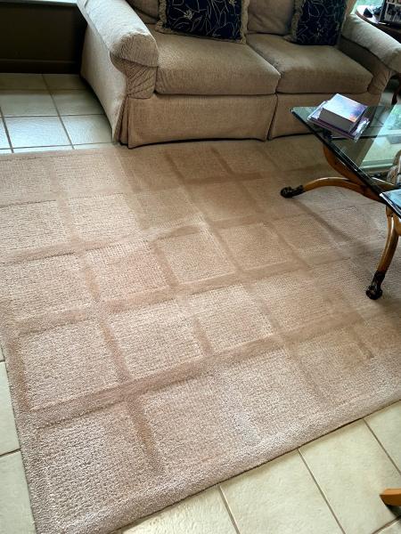 Amerahouse Carpet & Tile Cleaning