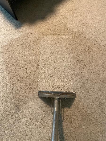 Kings Carpet & Upholstery Steam Cleaning