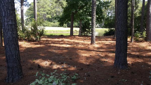 Diamond Lawn Care Services