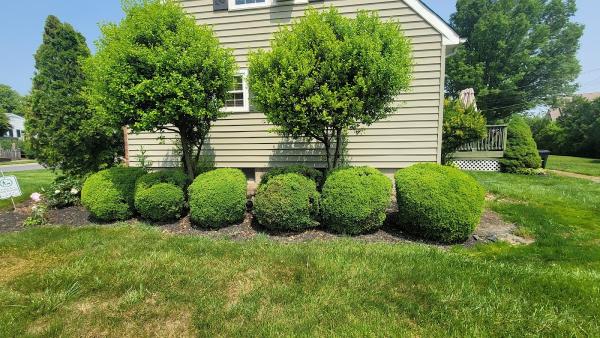 Edwin's Landscaping & Tree Experts LLC