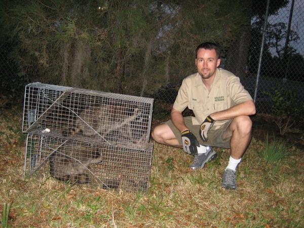 A Wildlife Pro