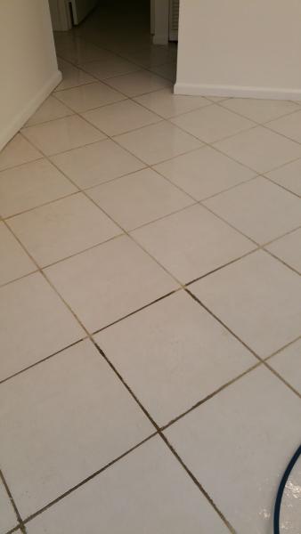 Masters Carpet & Upholstery Cleaning