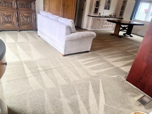 Sofia's Carpet Cleaning LLC