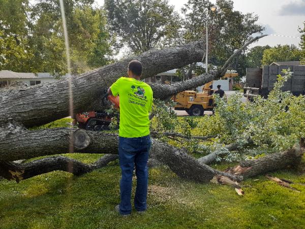 FTW Tree Services LLC