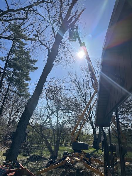 FTW Tree Services LLC