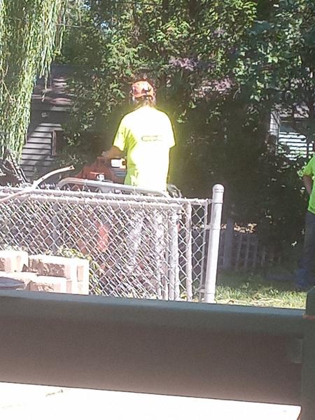 Droprite Tree Service