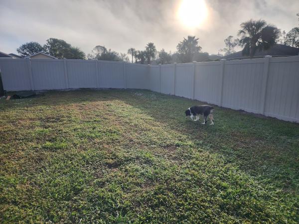 Muscle Fence