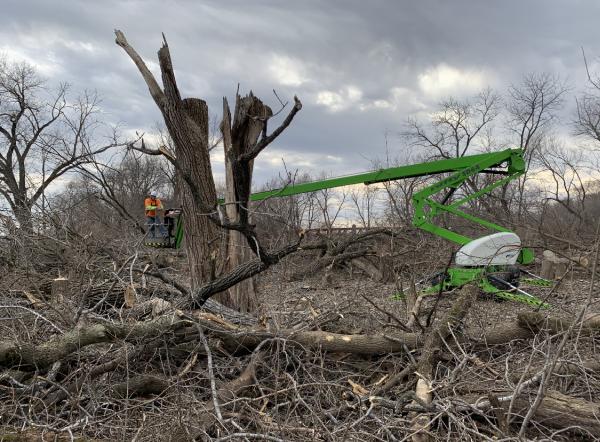 Weiss Tree Service