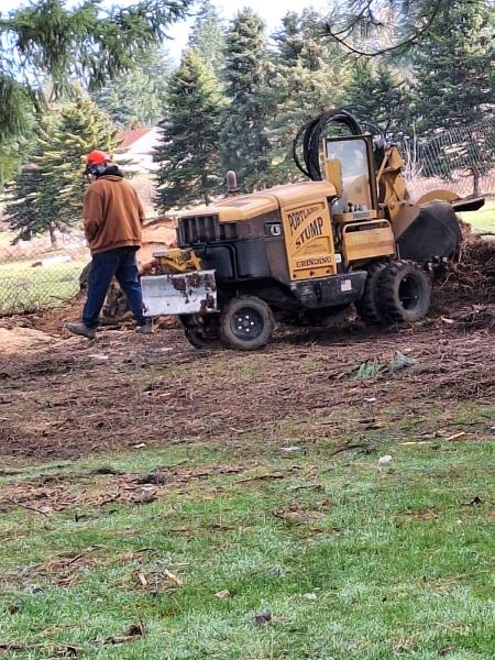 Portland Stump Grinding