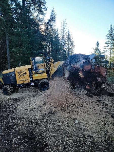 Portland Stump Grinding