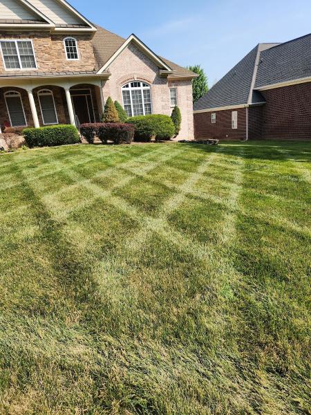 A Cut Above Lawn Services