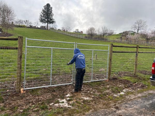 Flores Fence