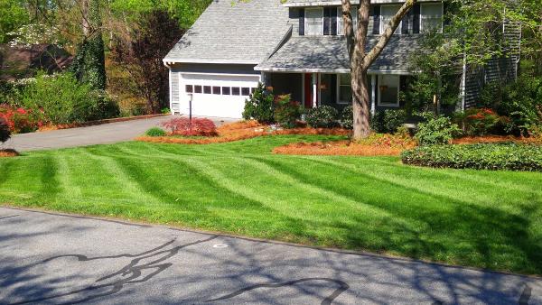 Moser Landscaping & Lawn Management