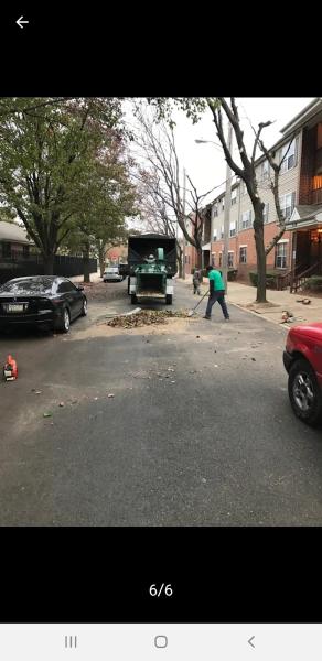 Leopard Tree Services LLC