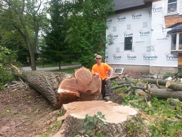 Brian t Kath Tree Removel