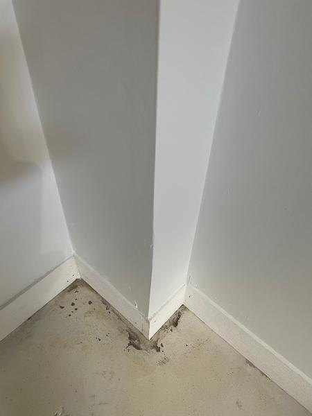 Lach Handyman Service