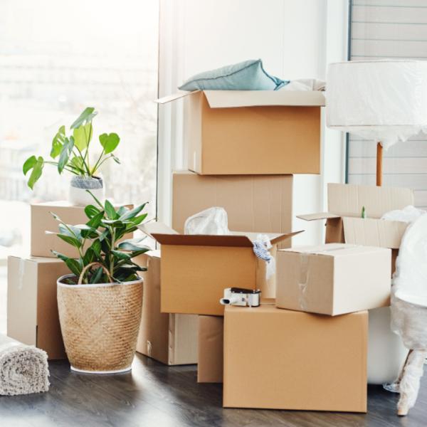Bronx Moving Company