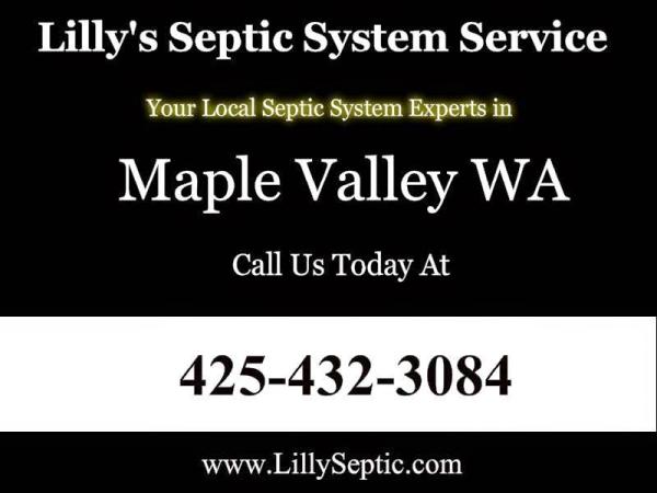 Lilly's Septic System Service
