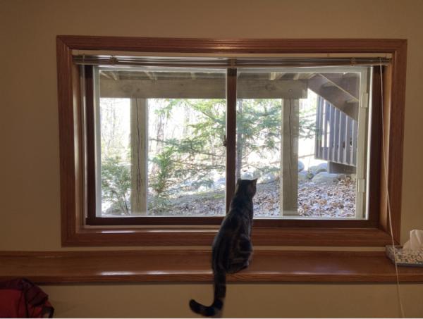 Sisu Window Cleaning