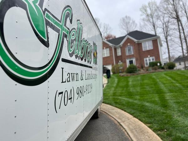 The Fellores Group Lawn & Landscape
