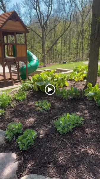 Chad's Landscaping Inc