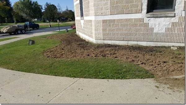 Nature's Lawn-n-Shrub Care