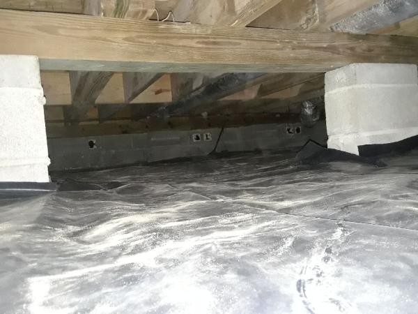 Global Pest Services