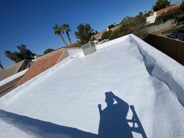 The Roof Medics
