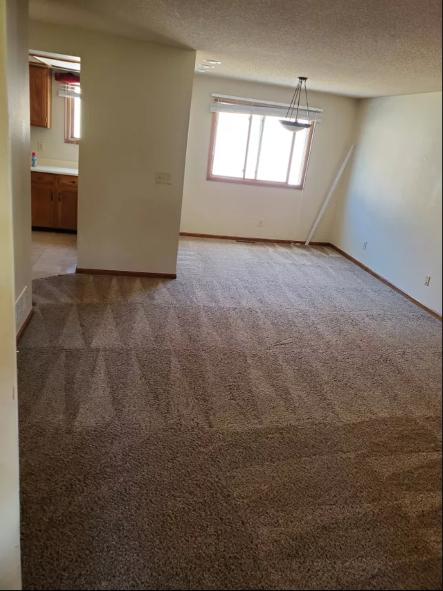 Pureclean Carpets