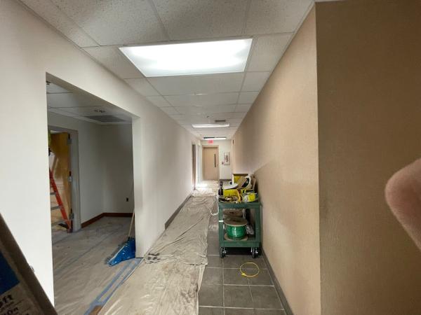 Painting M.S LLC