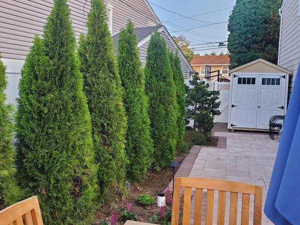 Landview Landscapes Inc