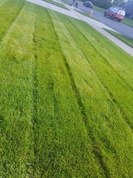 FC Lawn Care & Landscaping