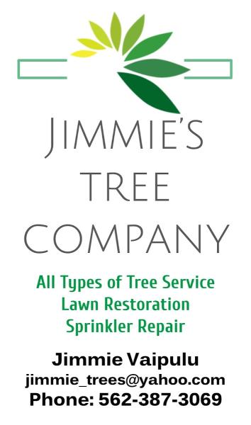 Jimmie's Tree Company