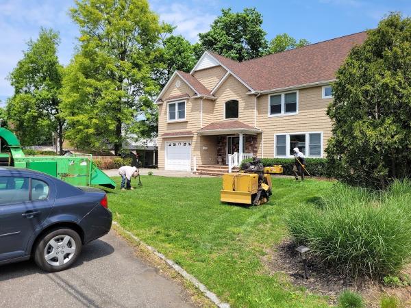 Arbor Care Tree Service
