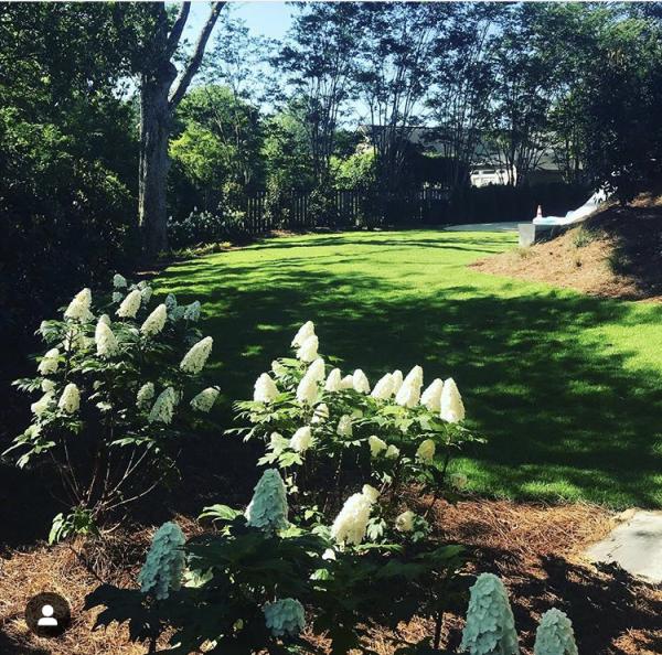 B&H Landscape and Tree Services