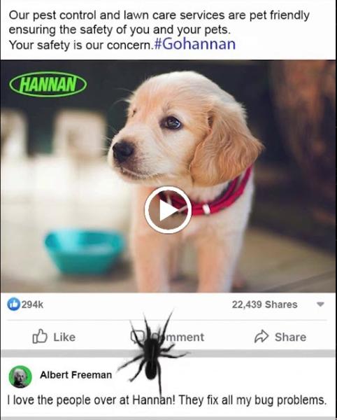 Hannan Environmental Services Inc