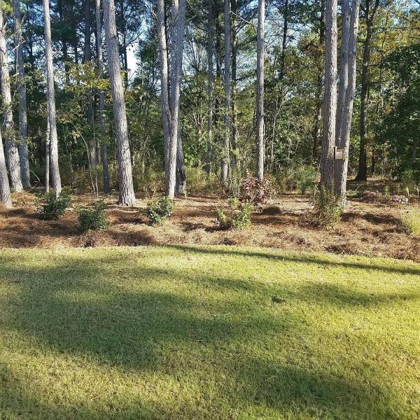 J C Landscaping