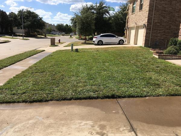 Qualitech- Sod Installation